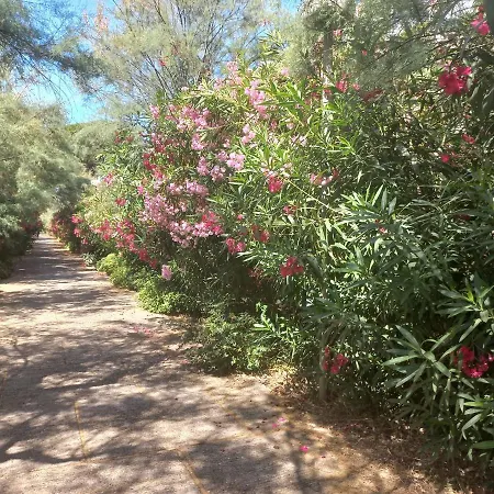 Vittoria Immobilier 1-reglement Sur Place - Cheques Acceptes