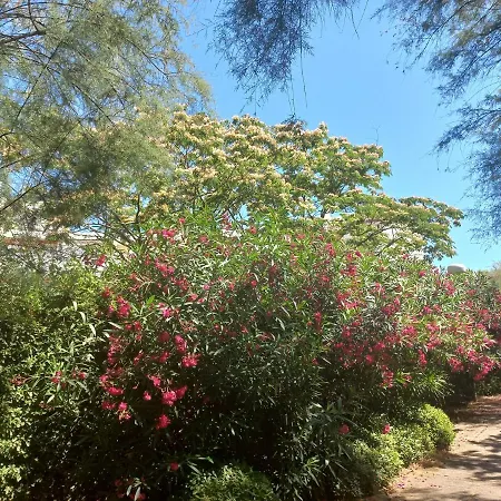 Vittoria Immobilier 1-reglement Sur Place - Cheques Acceptes לה גרנד מוט