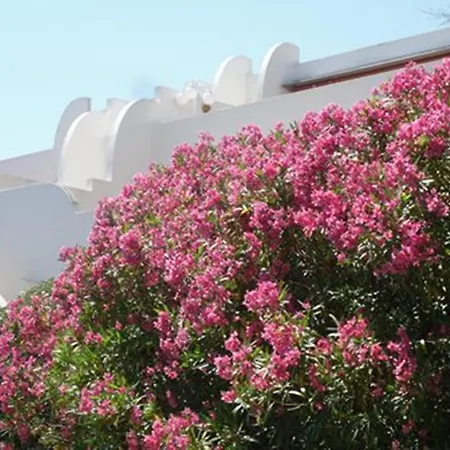 דירה Vittoria Immobilier 1-reglement Sur Place - Cheques Acceptes *