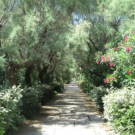 Vittoria Immobilier 1-reglement Sur Place - Cheques Acceptes *